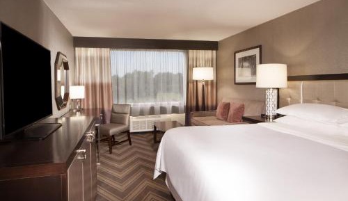 Guest Room, 1 King Bed, Sofa Bed