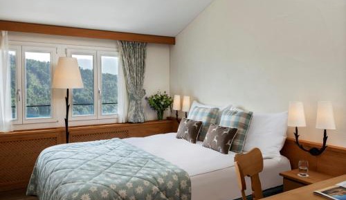 Chalet Double Room with Mountain View