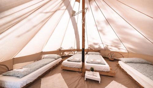 Tent (4 Adults)