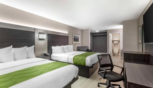 Queen Room with Two Queen Beds - Non-Smoking