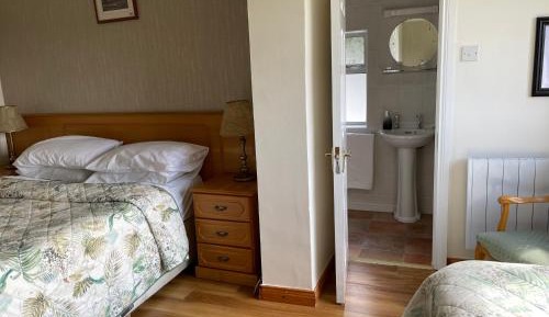 Deluxe Double or Twin Room with Mountain View