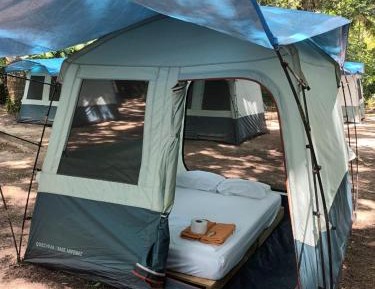 Tent