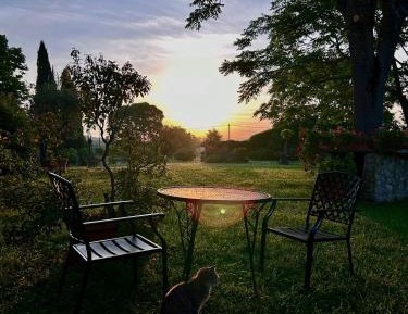 Studio with Garden View