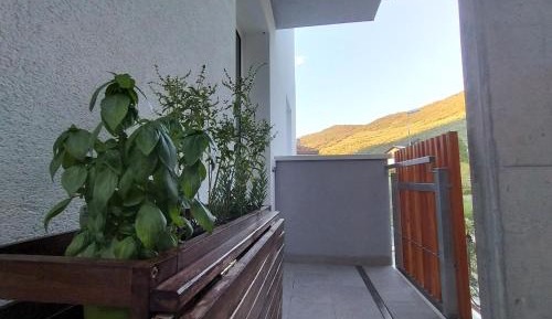 Two-Bedroom Apartment with Terrace