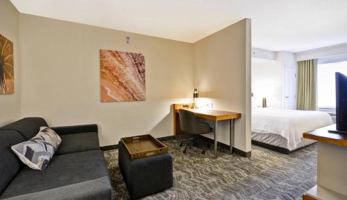 King Suite with Sofa Bed