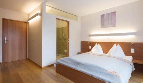 Standard Double Room (with limited view)