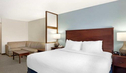 King Suite with Sofa Bed