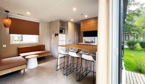 Mobile Home