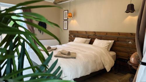 Double or Twin Room with Terrace