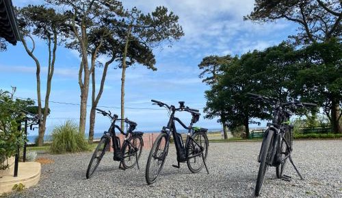 Deluxe Double or Twin Room with Sea View