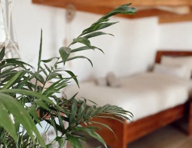 Bed in 4-Bed Female Dormitory Room
