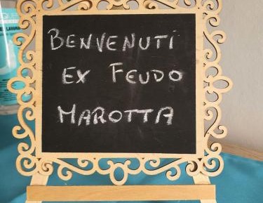 Two-Bedroom Standard Apartment