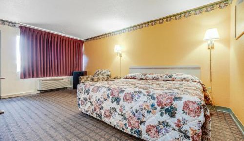  Budget Single Room - Non-Smoking