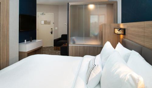 Suite, 1 King, Trundle bed, City view