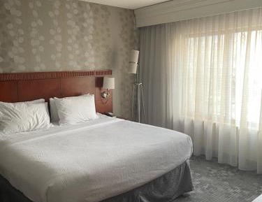 King Suite with Sofa Bed