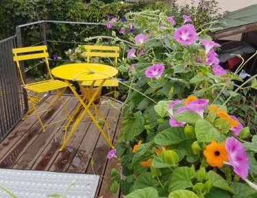 Double Room with Terrace