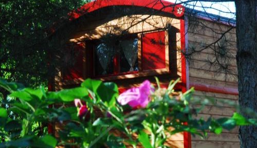 Mobile Home