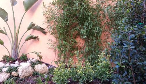 Two-Bedroom Apartment with Garden