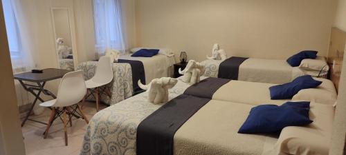 Mixed Dormitory Room
