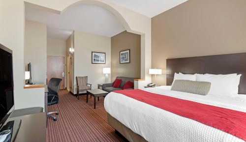 King Suite with Sofa Bed