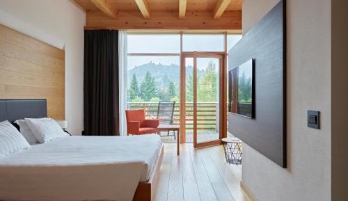 Superior Double Room with Mountain View