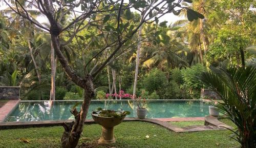 Queen Room with Pool View