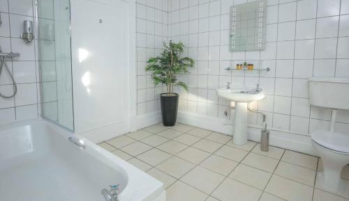Standard Double Room - Non-Smoking