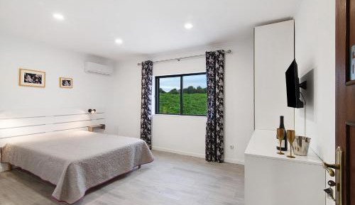 Superior One-Bedroom Apartment