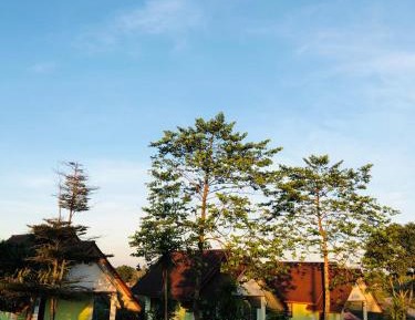 Deluxe Bungalow with Garden View