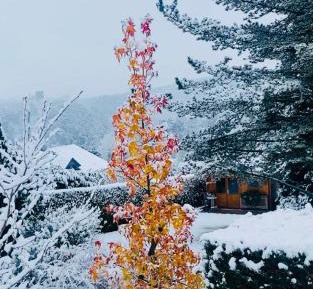 Double Room with Mountain View