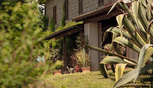 Apartment with Garden View