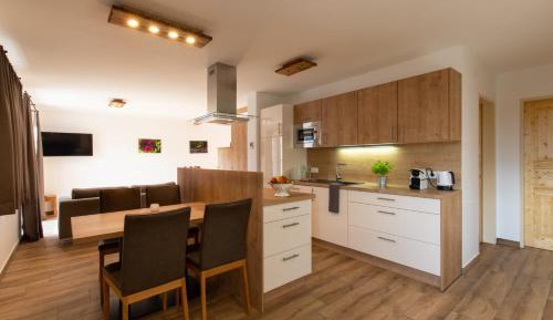 Apartment with Mountain View