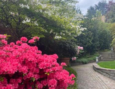 Large Double or Twin Room