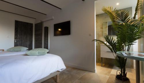 Superior Double or Twin Room with Mountain View