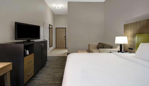 Studio King Suite with Sofa Bed - Non-Smoking