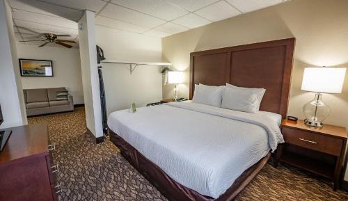Deluxe King Suite