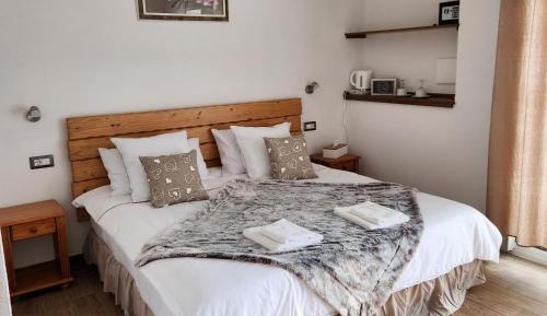 Superior Double or Twin Room with Terrace