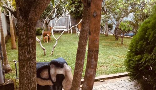 Villa with Garden View