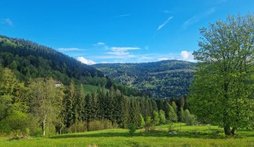 Double Room with Mountain View