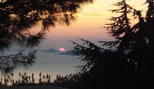 Villa with Garden View