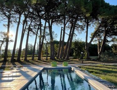 Suite with Pool View