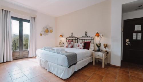 Superior Double or Twin Room with Terrace