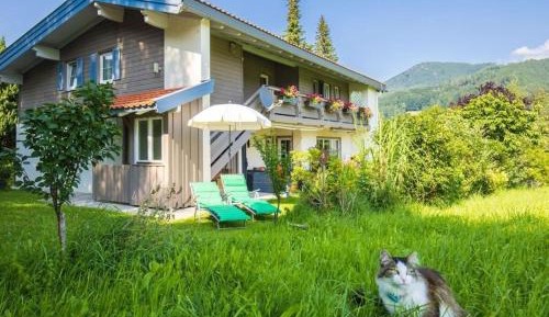 One-Bedroom Holiday Home