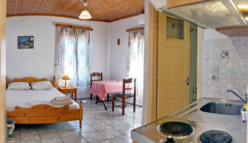 Studio with Garden View