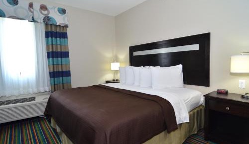 King Suite with Sofa Bed