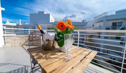 Penthouse Apartment