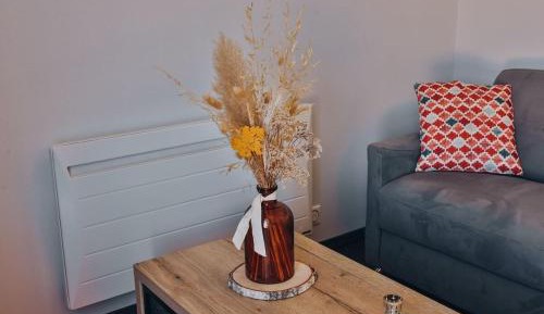 Apartment with Shower