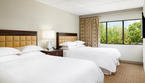 1 Bedroom Suite, 2 Queen, Sofa bed