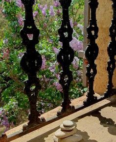 Deluxe Room (2 Adults + 1 Child)