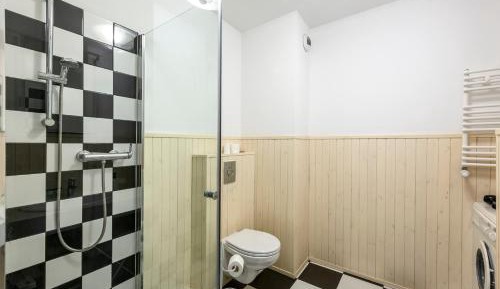 Studio with Sofa Bed